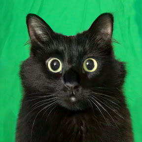 img test